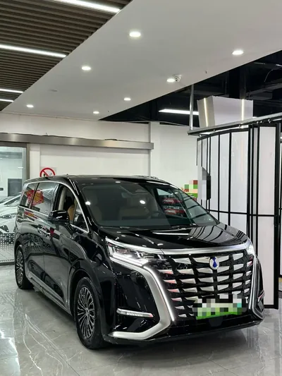 2025 腾势 腾势D9