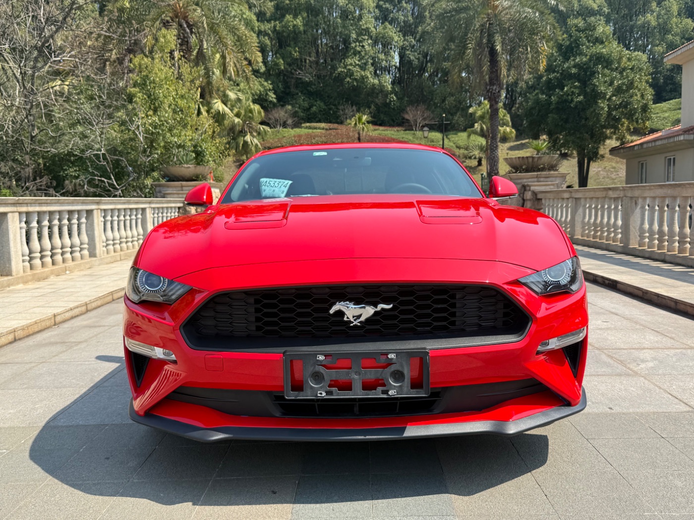 2019 福特 Mustang