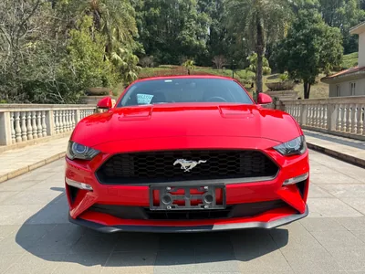 2019 福特 Mustang