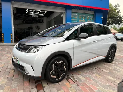 2021 比亚迪 海豚 405km 自由版