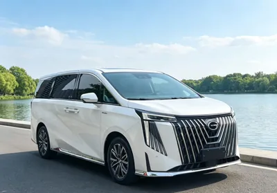 2024 传祺 M8