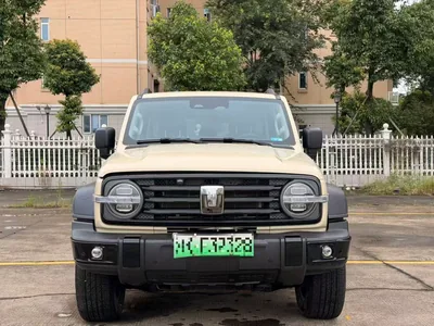 2025 长城汽车 坦克300