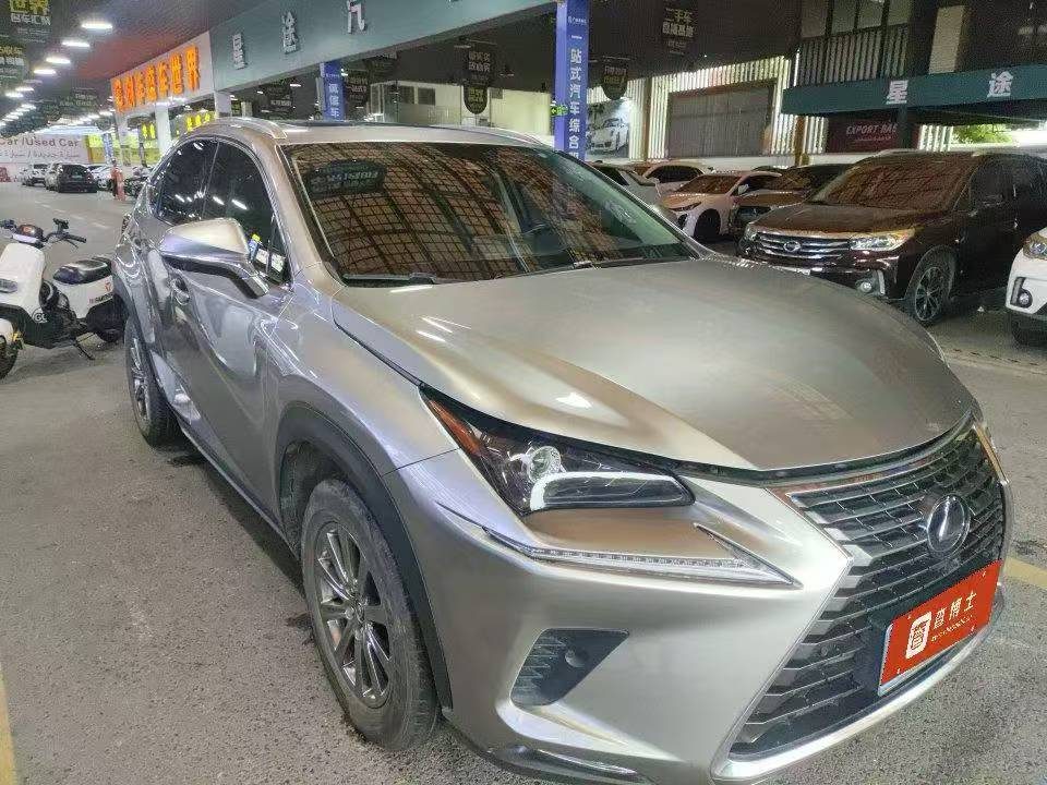 2021 雷克萨斯 NX300H