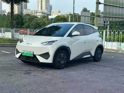 2025 比亚迪 海鸥