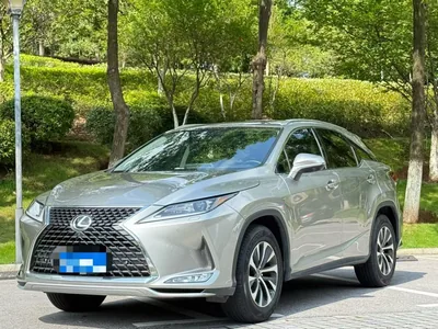 2019 雷克萨斯 RX300