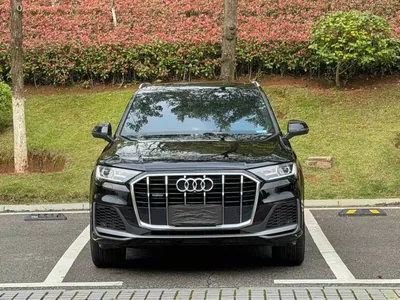 2021 奥迪 Q7