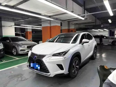 2018 雷克萨斯 NX300H