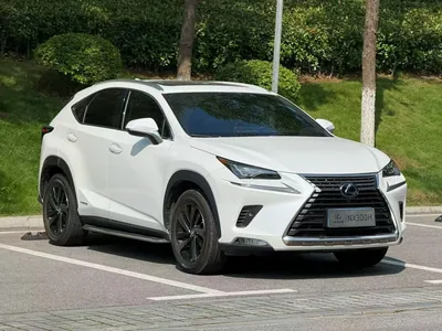 2020 雷克萨斯 NX300H