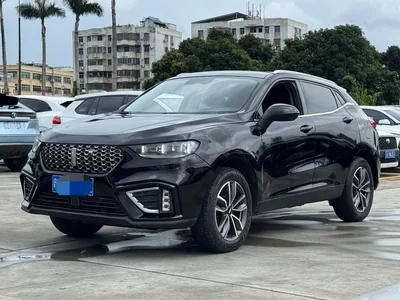 2021 魏牌 VV5
