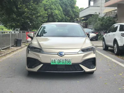 2020 埃安 魅630