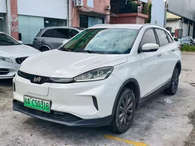 2021 威马 EX5