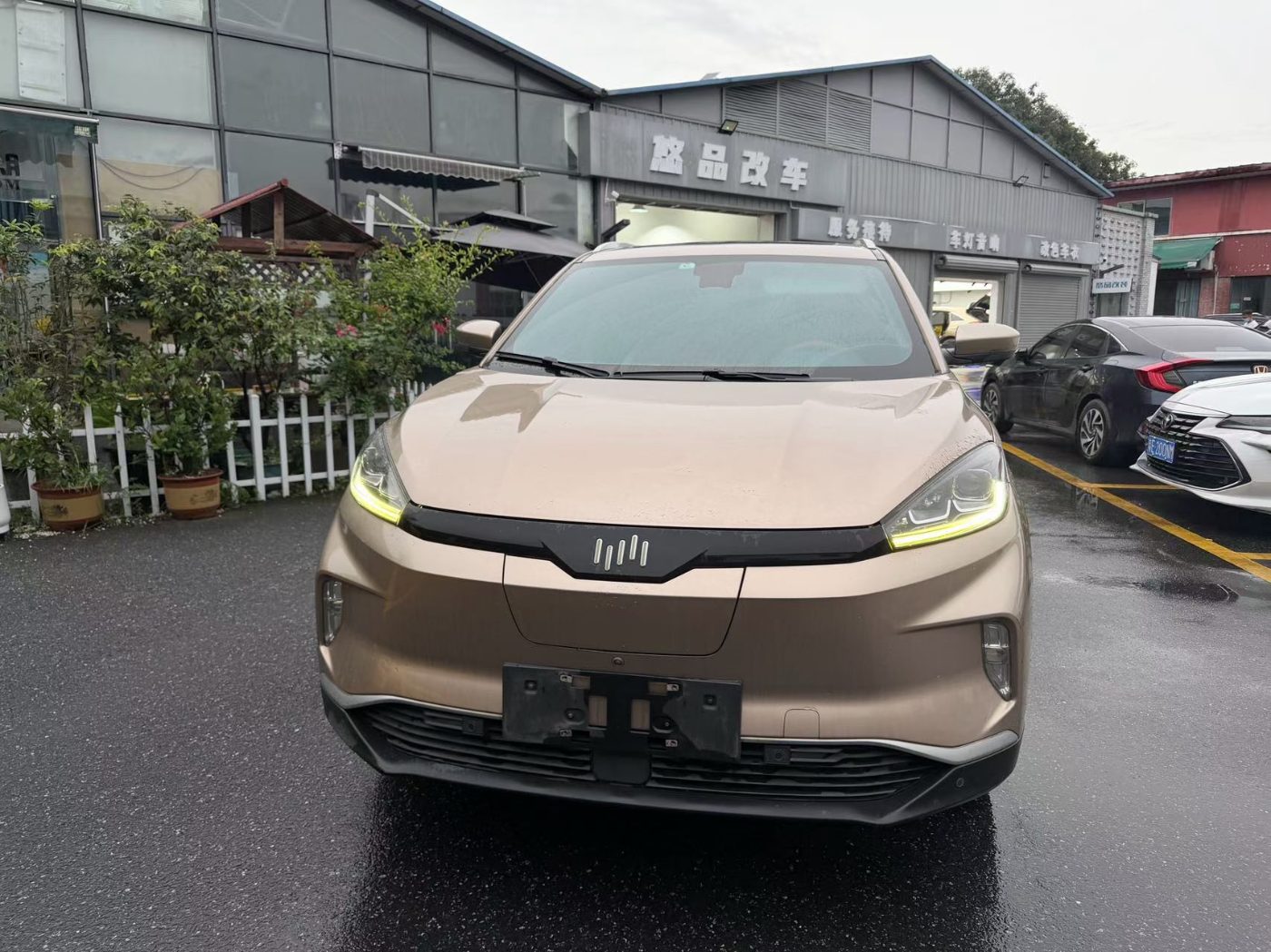 2019 威马 EX5  W6