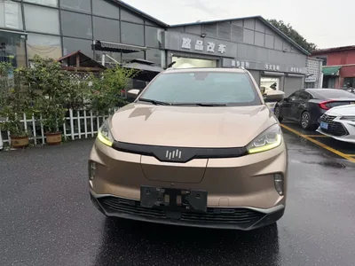 2019 威马 EX5  W6