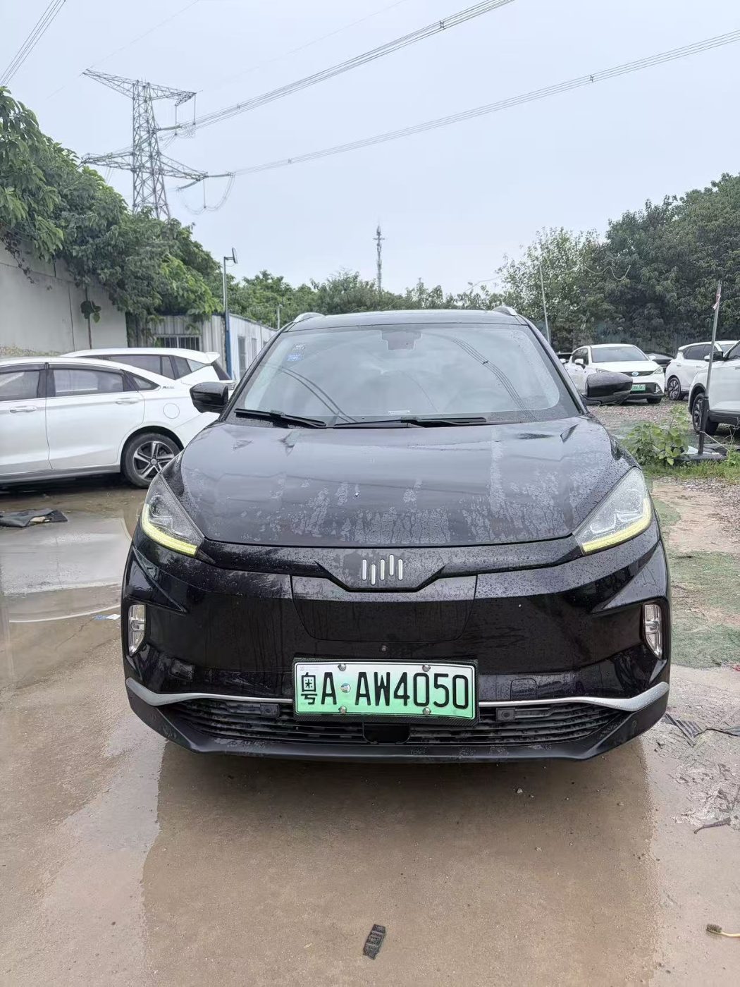 2019 威马 EX5