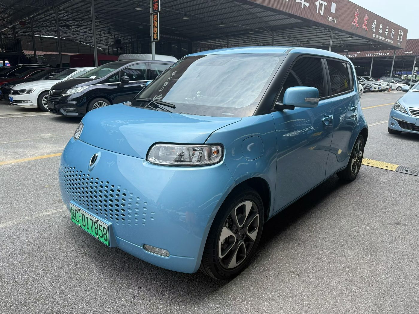 2021 长安 欧拉白猫