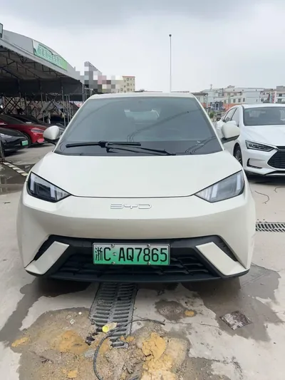 2024 比亚迪 BYD Dolphin Surf