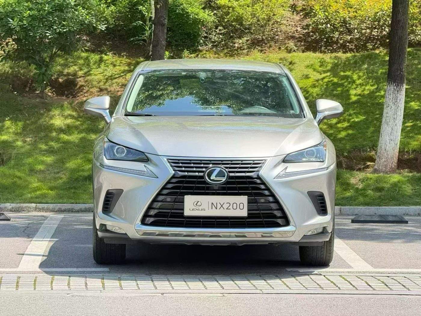 2019 雷克萨斯 NX200